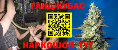 мескалин Кингисепп