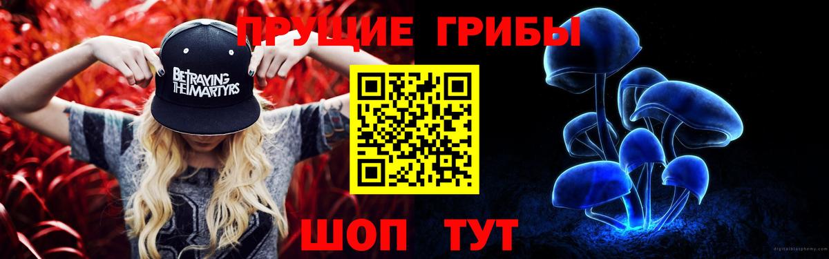 Псилоцибиновые грибы прущие грибы Конаково