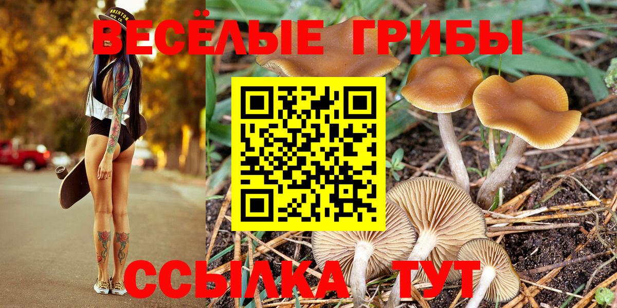 Псилоцибиновые грибы мицелий  Псилоцибиновые грибы Psilocybine cubensis  даркнет сайт  Конаково  Вход с VPN 